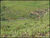 Fazenda-Sítio-Chácara, 28 hectares - Foto 11