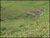 Fazenda-Sítio-Chácara, 28 hectares - Foto 6