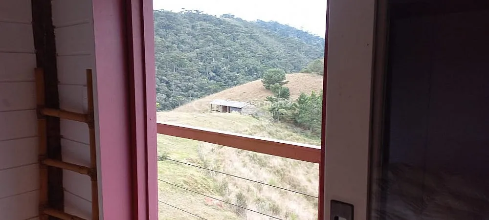 Fazenda, 98 hectares - Foto 4