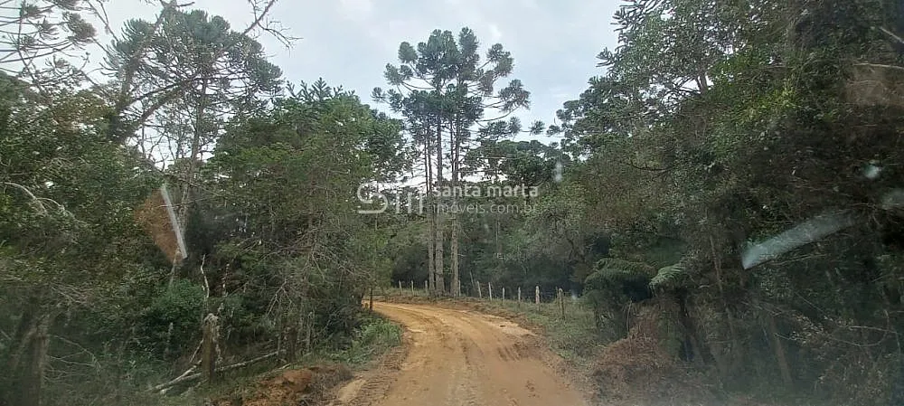 Fazenda, 98 hectares - Foto 1