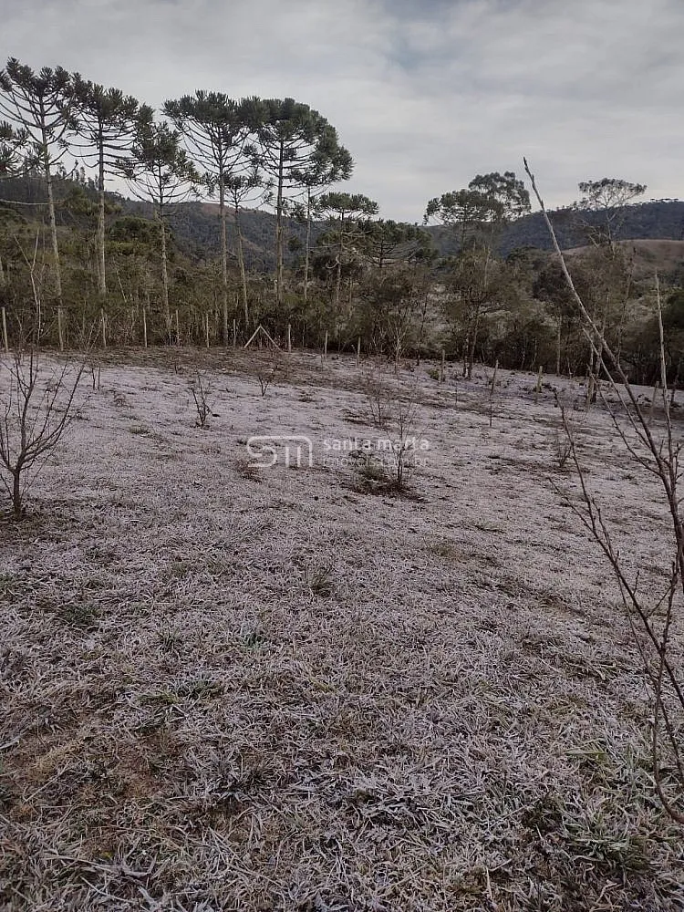 Fazenda, 98 hectares - Foto 8