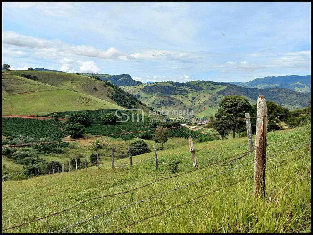 Fazenda, 77 hectares - Foto 12