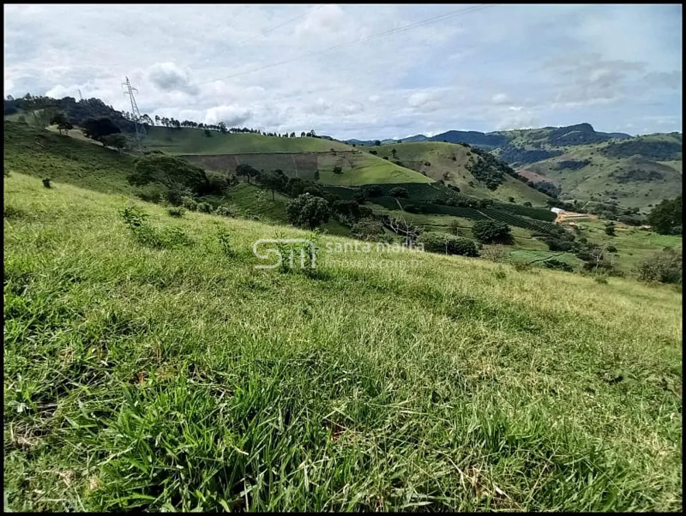 Fazenda, 77 hectares - Foto 6