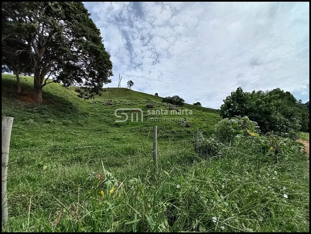Fazenda, 77 hectares - Foto 2