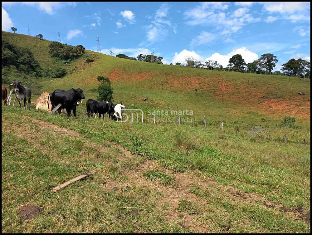 Fazenda, 77 hectares - Foto 8