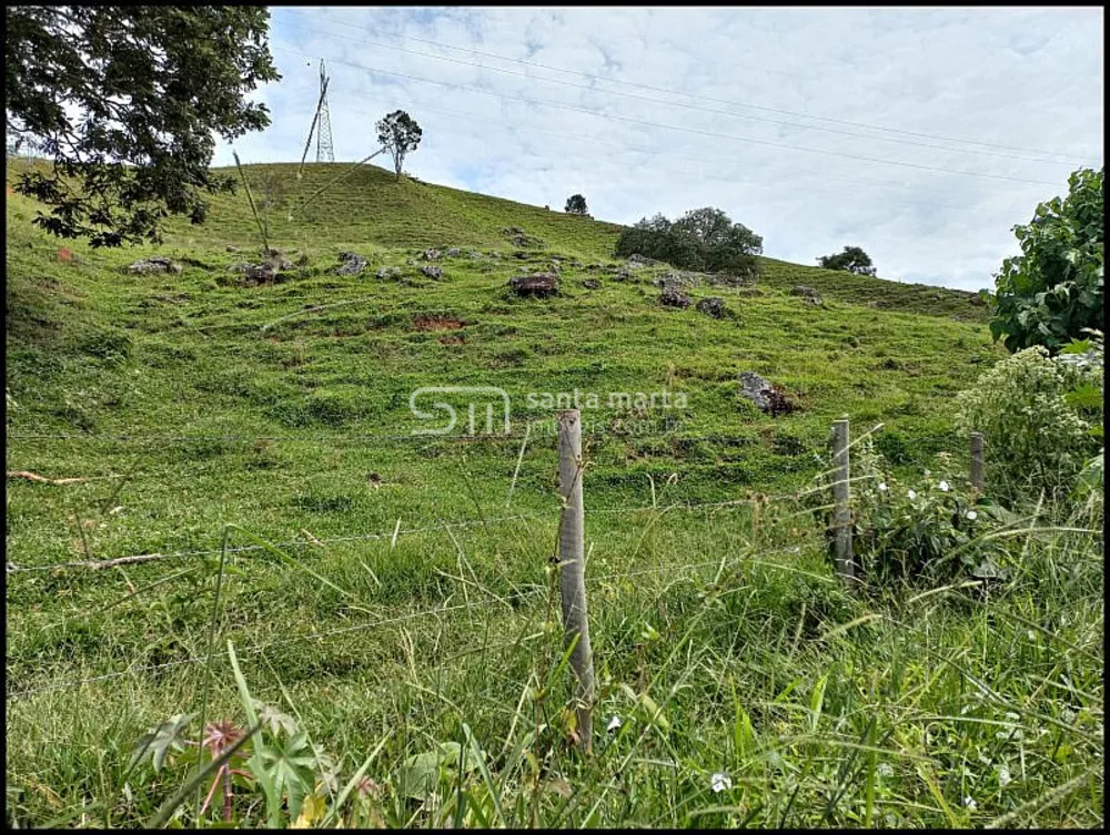 Fazenda, 77 hectares - Foto 7
