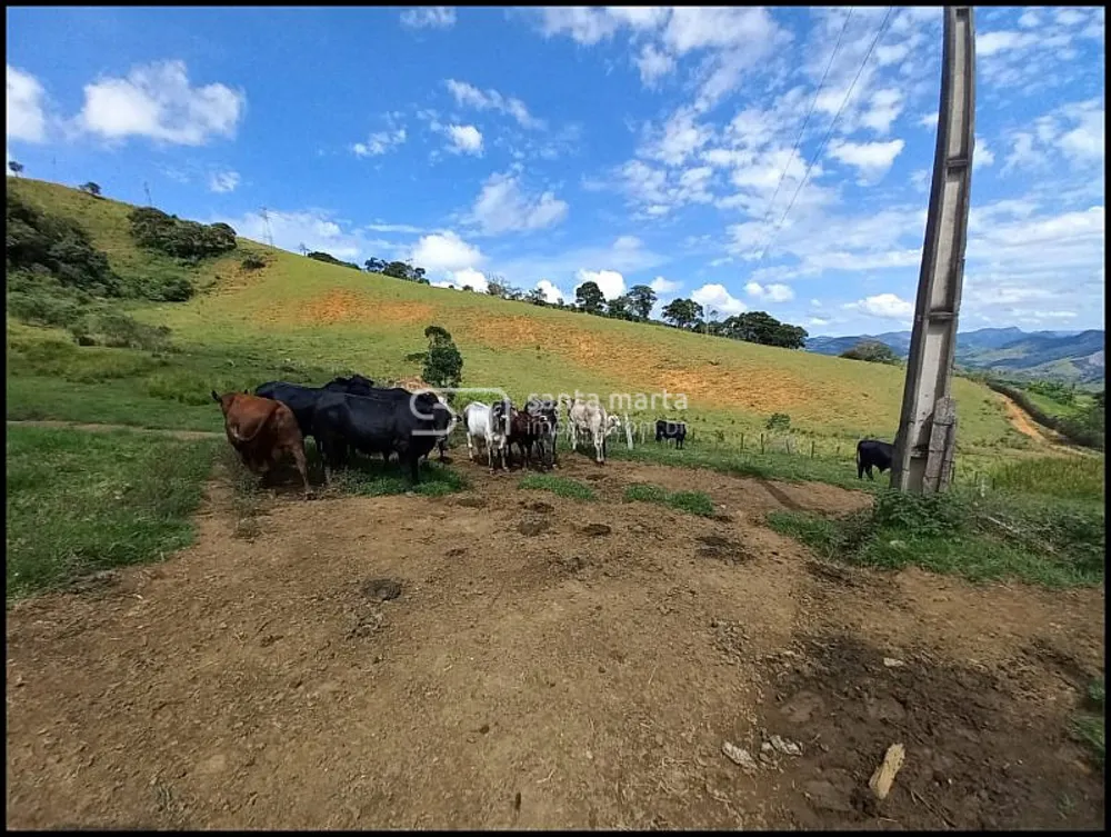 Fazenda, 77 hectares - Foto 9