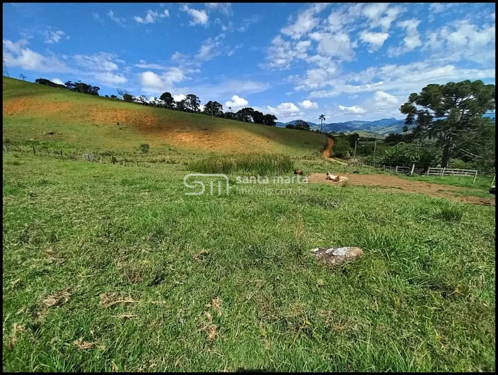 Fazenda, 77 hectares - Foto 11