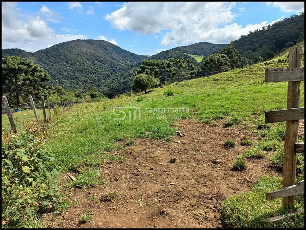 Fazenda, 77 hectares - Foto 3