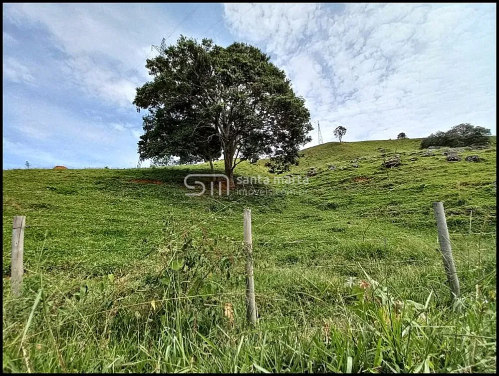 Fazenda, 77 hectares - Foto 4