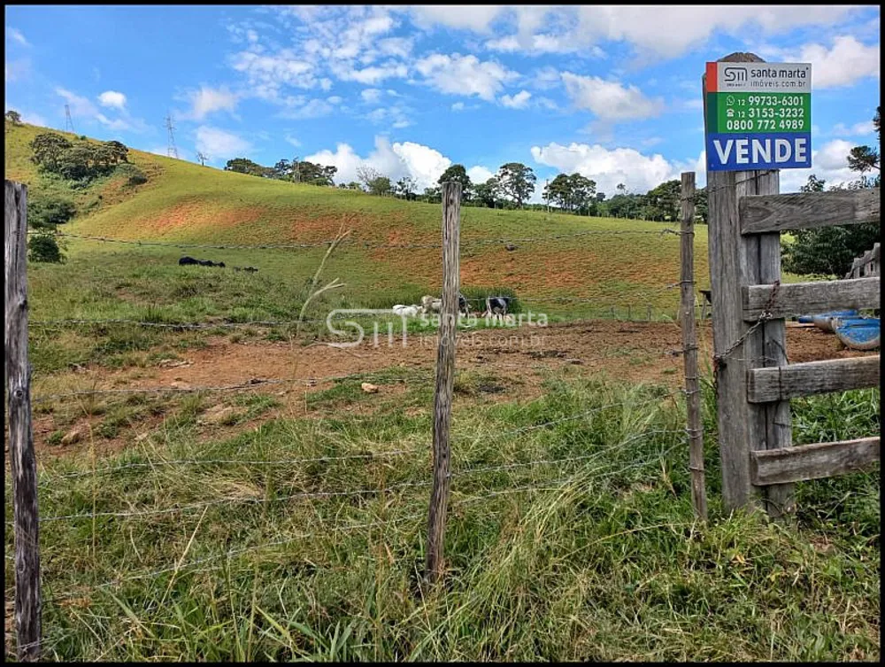 Fazenda, 77 hectares - Foto 10