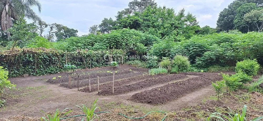 Sítio, 7 quartos, 3 hectares - Foto 12
