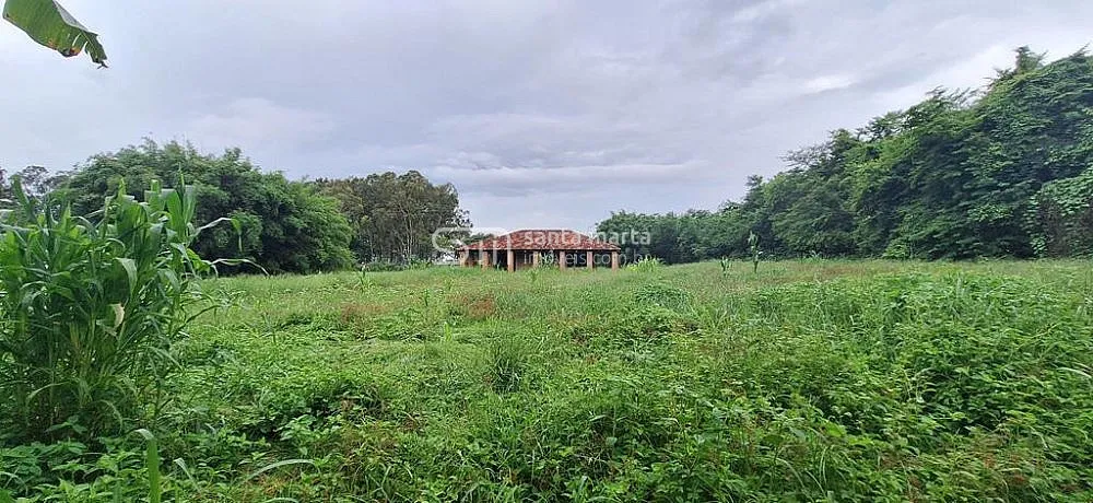 Sítio, 7 quartos, 3 hectares - Foto 11