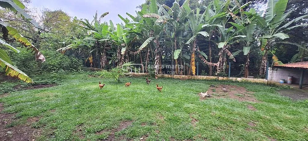 Sítio, 7 quartos, 3 hectares - Foto 10