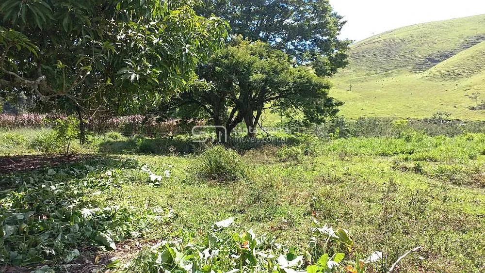 Chácara, 4 quartos, 1 hectares - Foto 9
