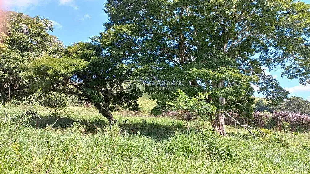 Chácara, 4 quartos, 1 hectares - Foto 7