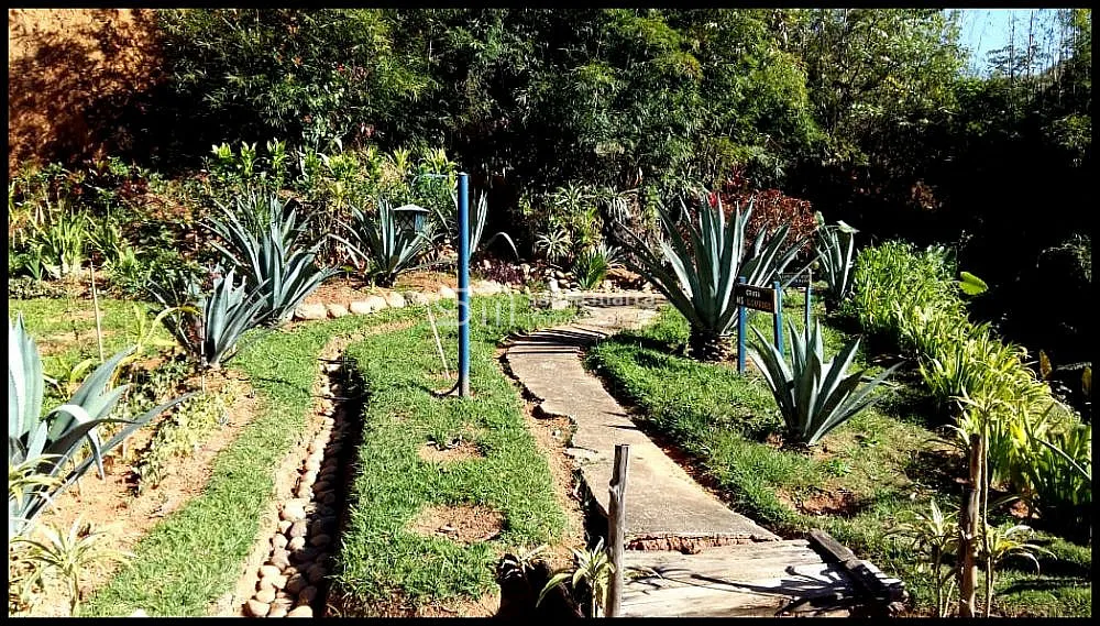 Fazenda, 242 hectares - Foto 2