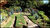 Fazenda, 242 hectares - Foto 4