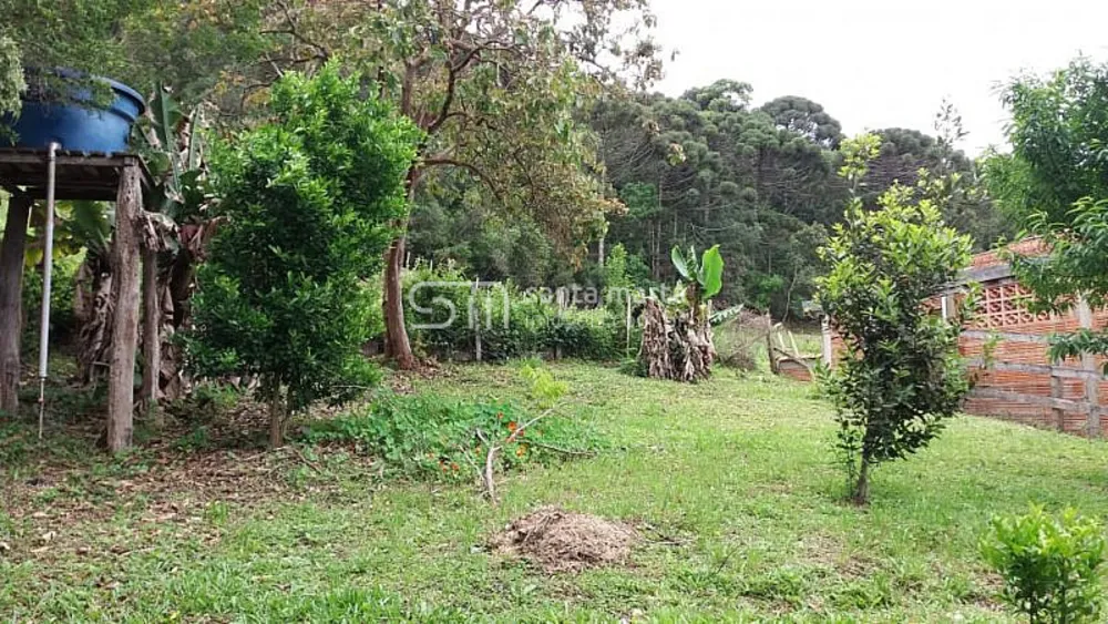 Chácara, 3 quartos, 1375 m² - Foto 11