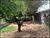 Terreno, 184 m² - Foto 1
