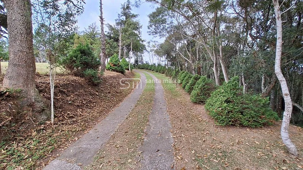 Sítio, 29 hectares - Foto 1