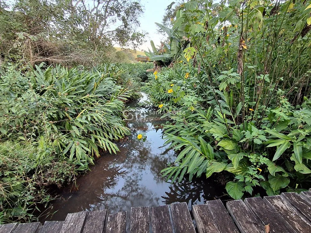 Chácara, 2 quartos, 3 hectares - Foto 1