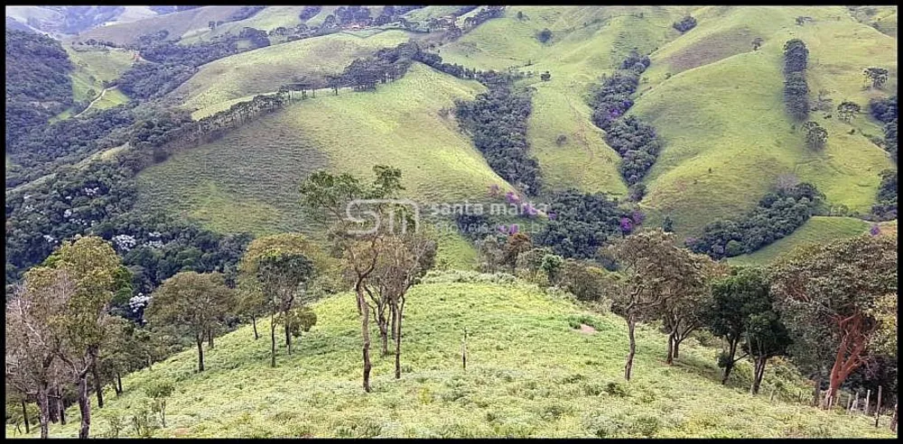 Sítio, 2 quartos, 24 hectares - Foto 7