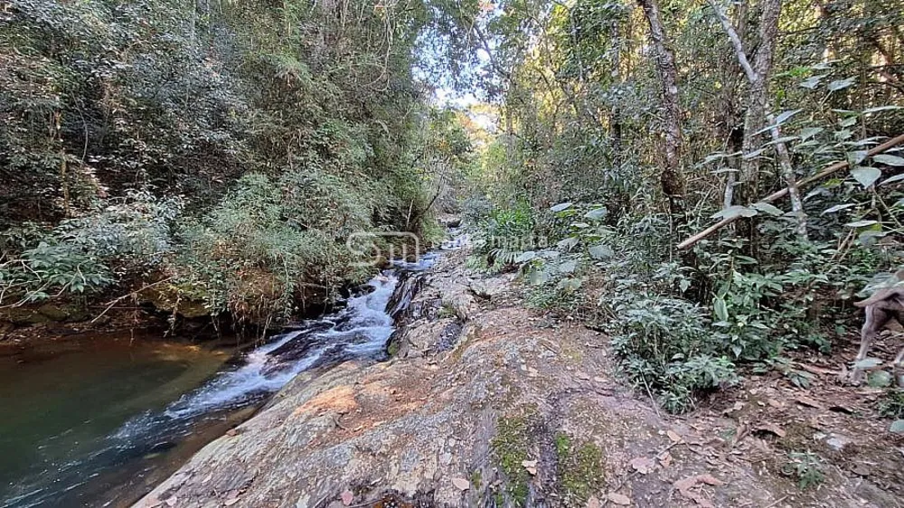 Fazenda, 24 hectares - Foto 1