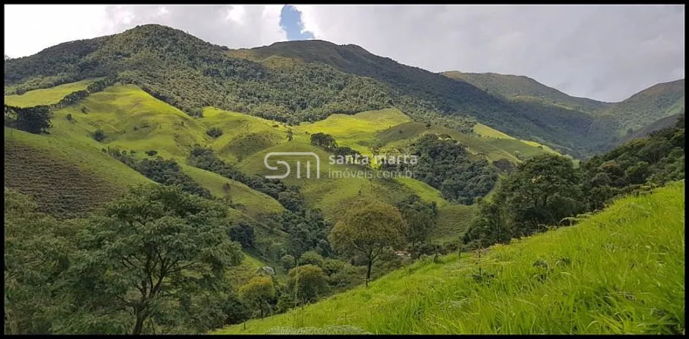 Sítio, 2 quartos, 24 hectares - Foto 6
