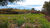 Terreno, 1200 m² - Foto 2