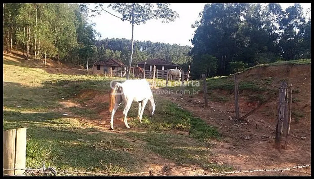 Fazenda, 517 hectares - Foto 2