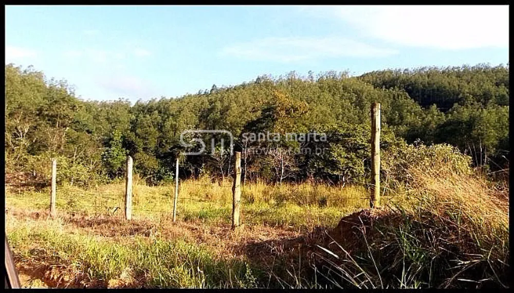 Fazenda, 517 hectares - Foto 3