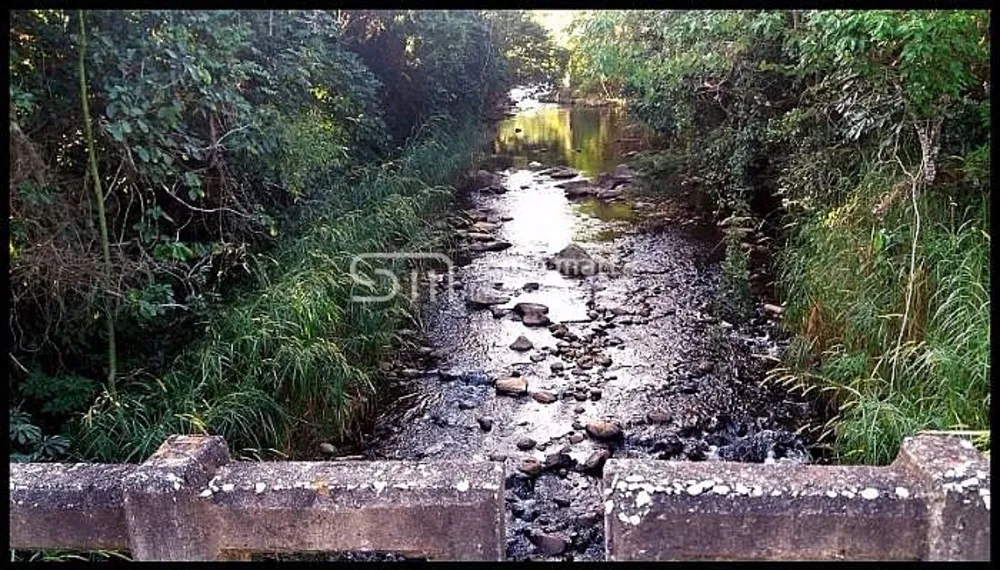 Fazenda, 517 hectares - Foto 4