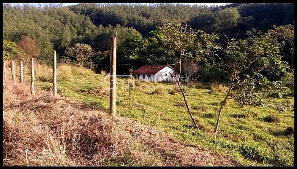 Fazenda, 517 hectares - Foto 1