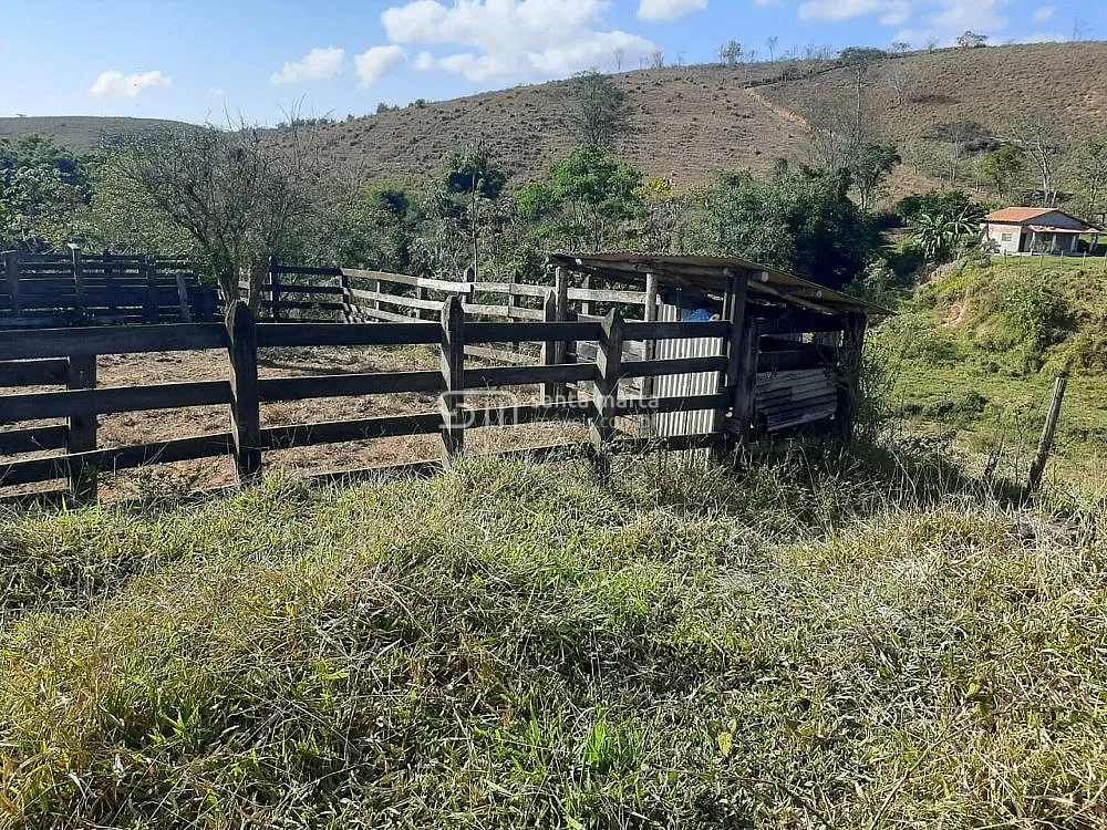 Fazenda, 24 hectares - Foto 4