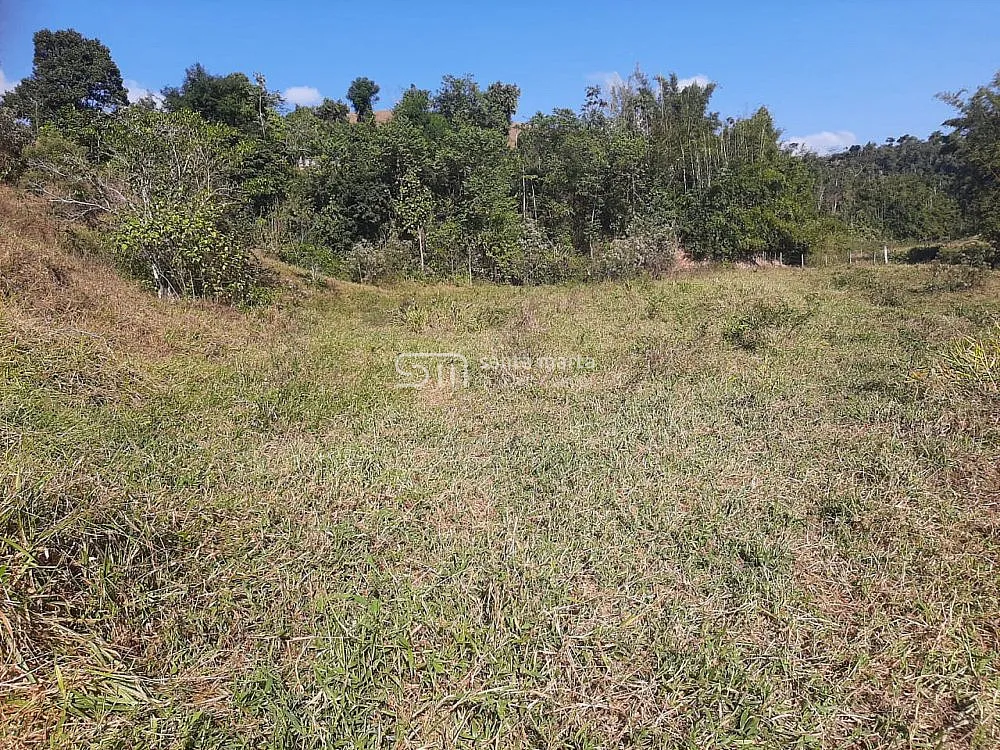 Fazenda, 24 hectares - Foto 6