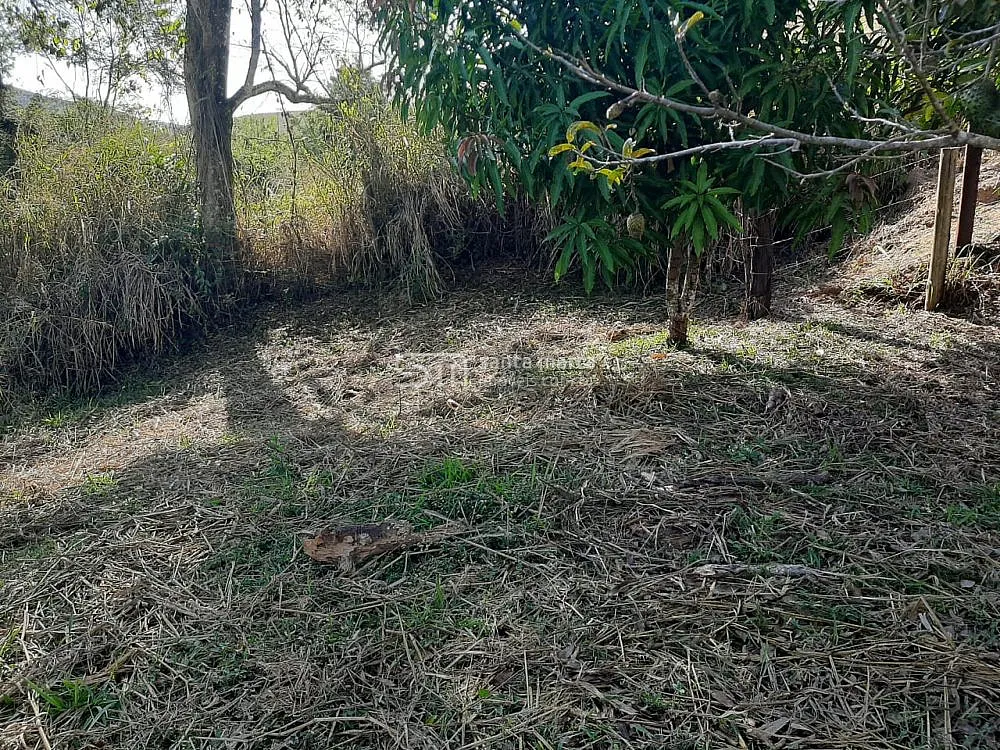 Fazenda, 24 hectares - Foto 1