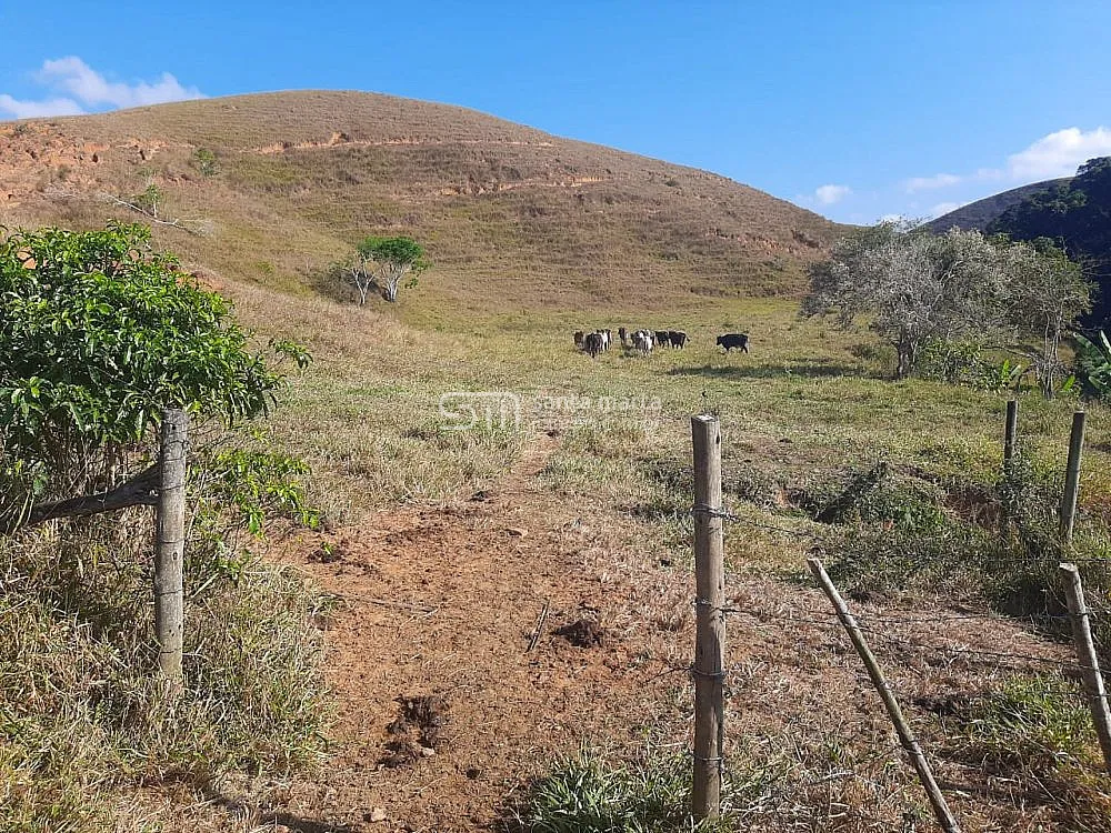 Fazenda, 24 hectares - Foto 2