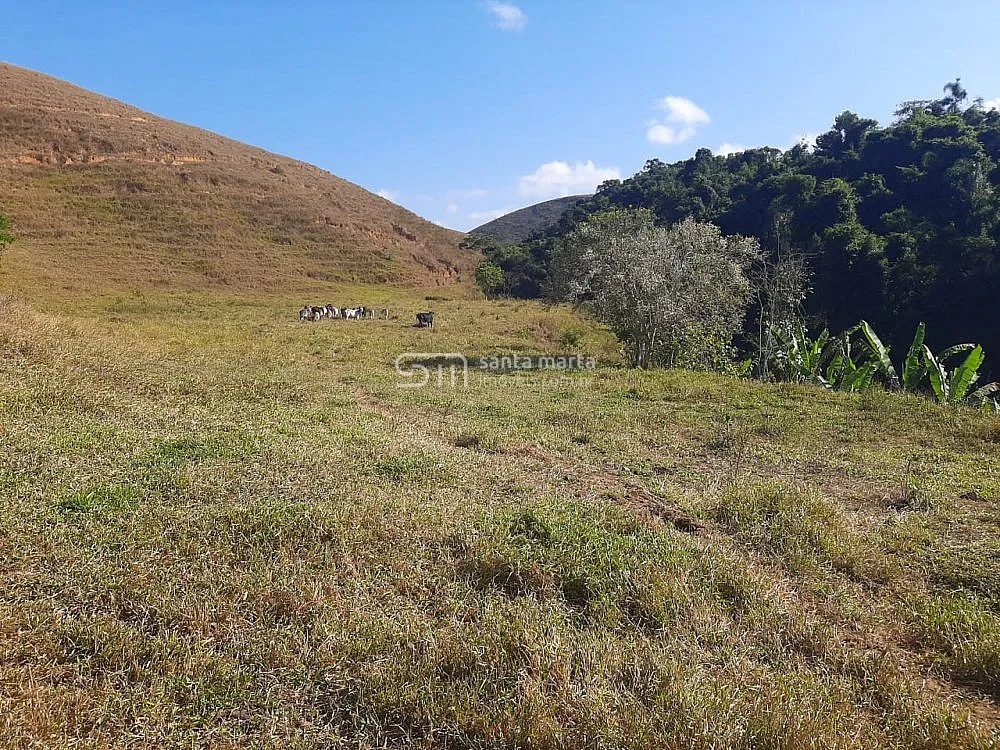 Fazenda, 24 hectares - Foto 7