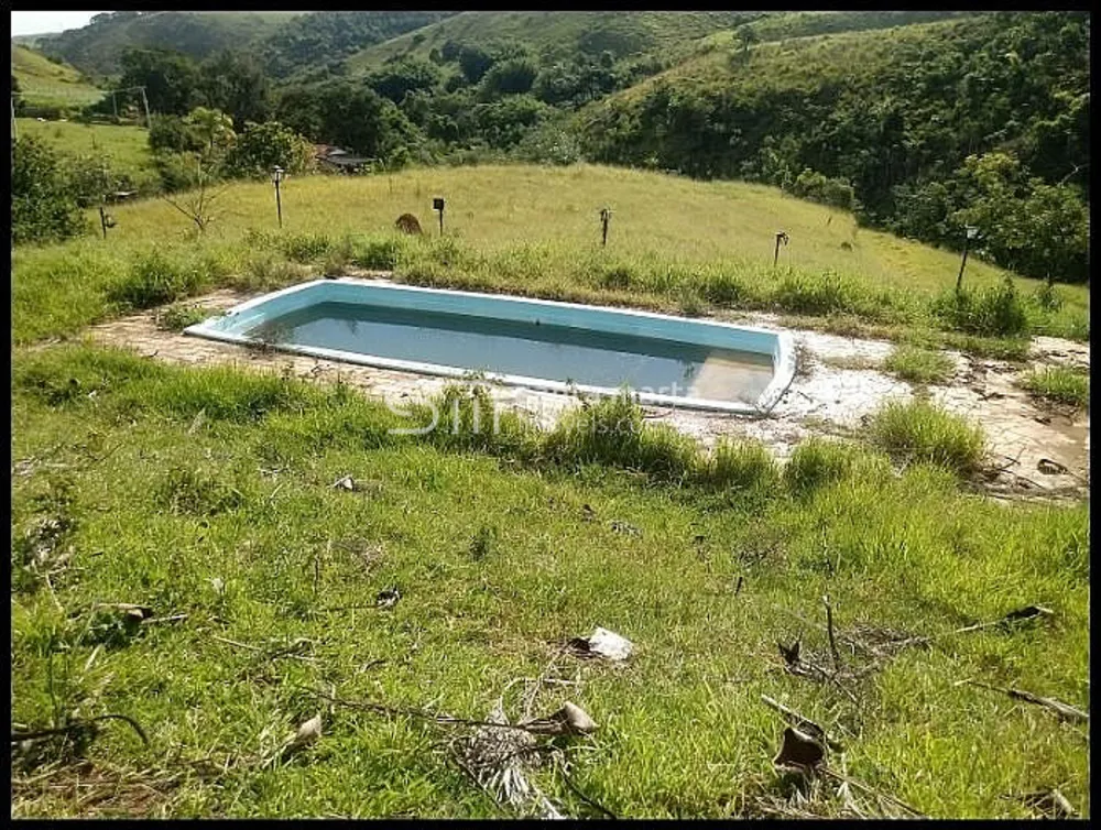 Fazenda, 54 hectares - Foto 7