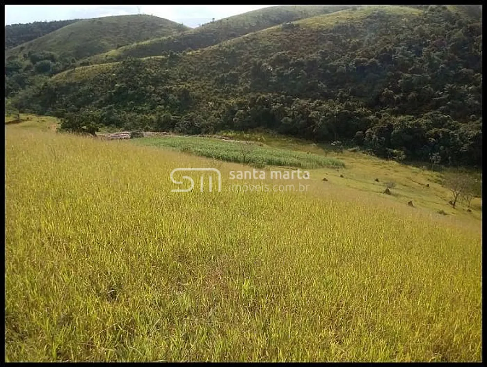Fazenda, 54 hectares - Foto 11