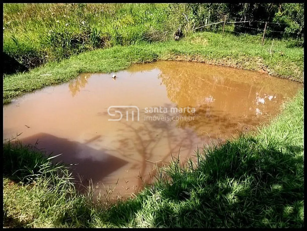 Fazenda, 54 hectares - Foto 3