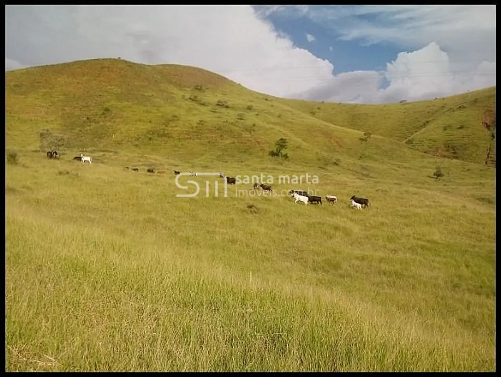 Fazenda, 54 hectares - Foto 2