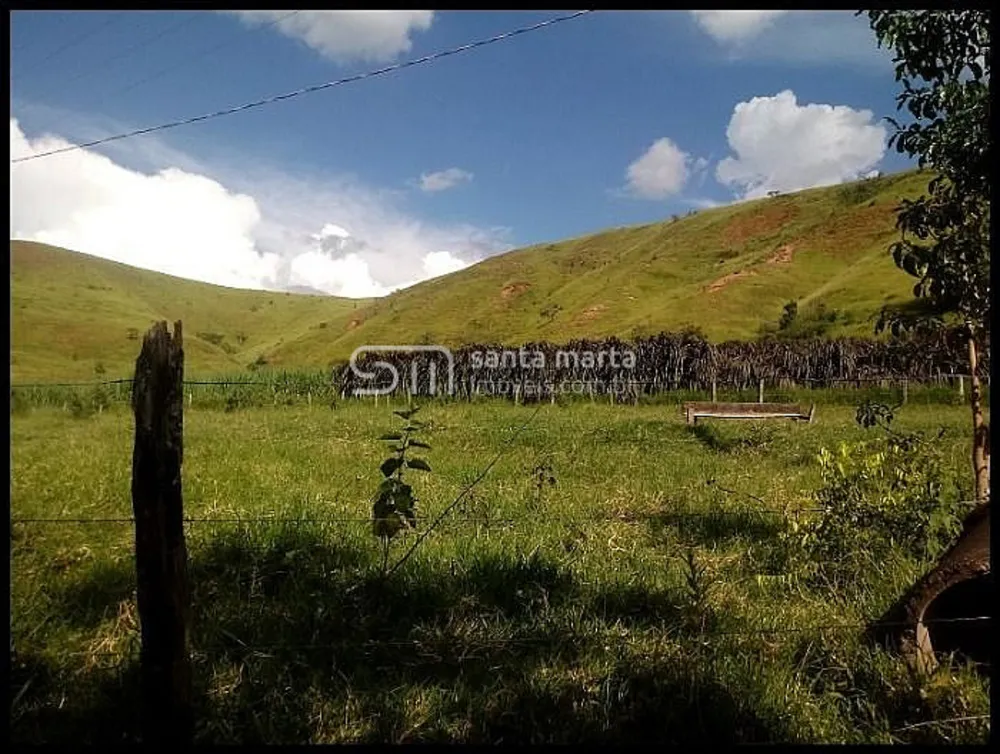 Fazenda, 54 hectares - Foto 4