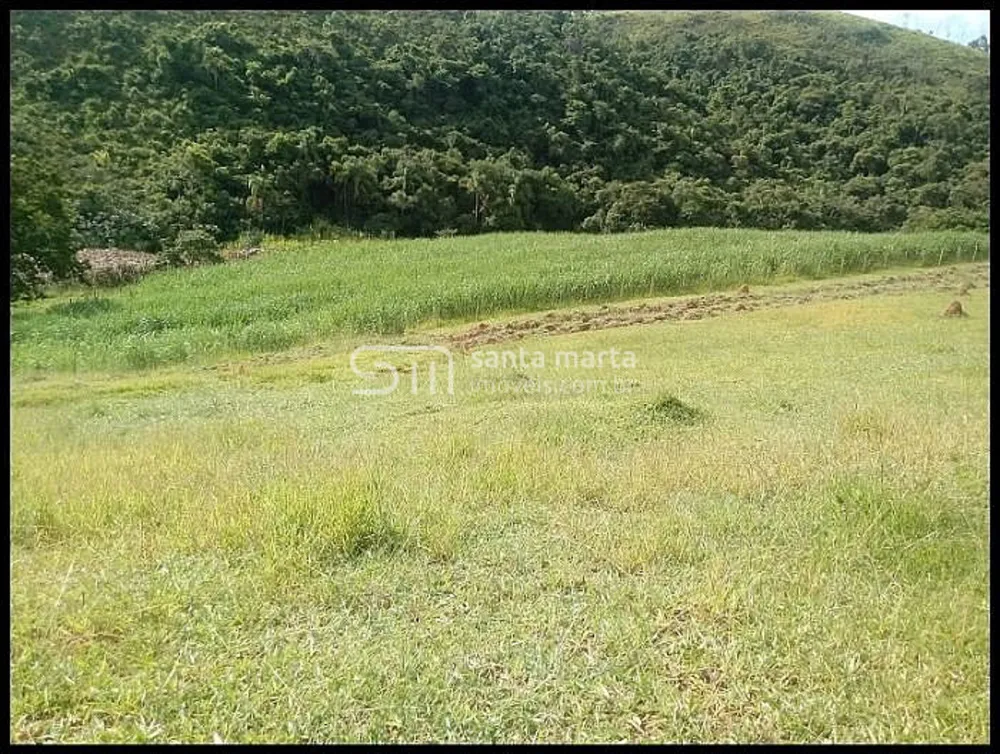 Fazenda, 54 hectares - Foto 1