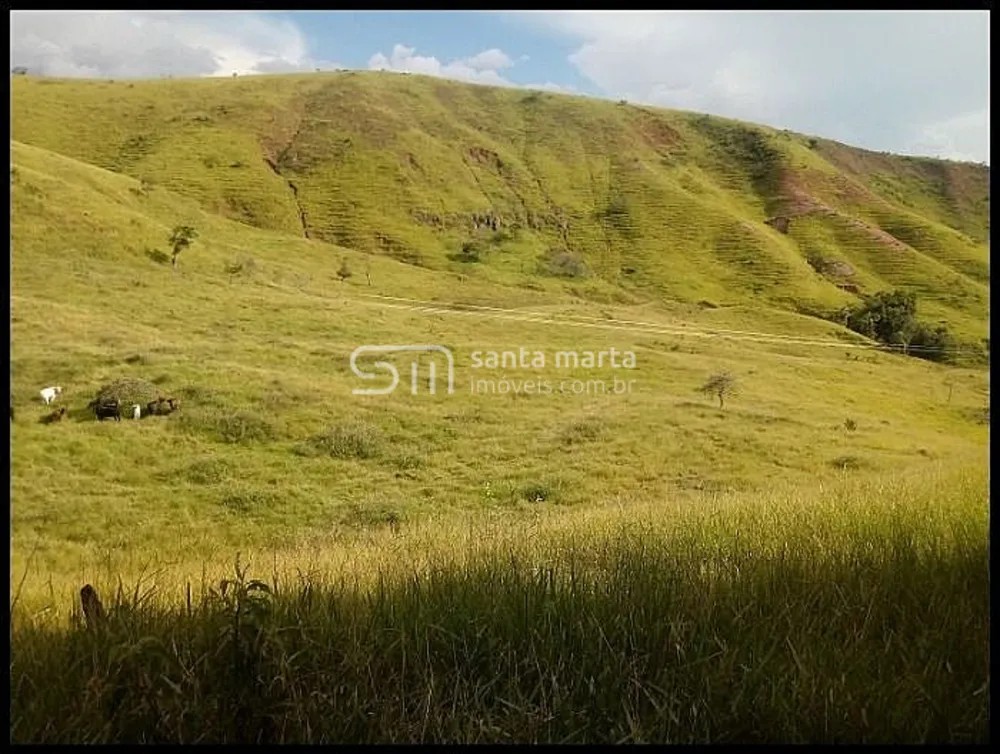 Fazenda, 54 hectares - Foto 12