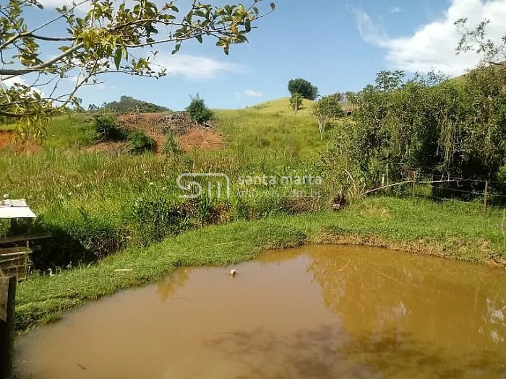 Fazenda, 54 hectares - Foto 8