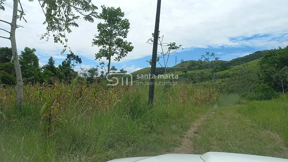 Fazenda, 1113 hectares - Foto 4