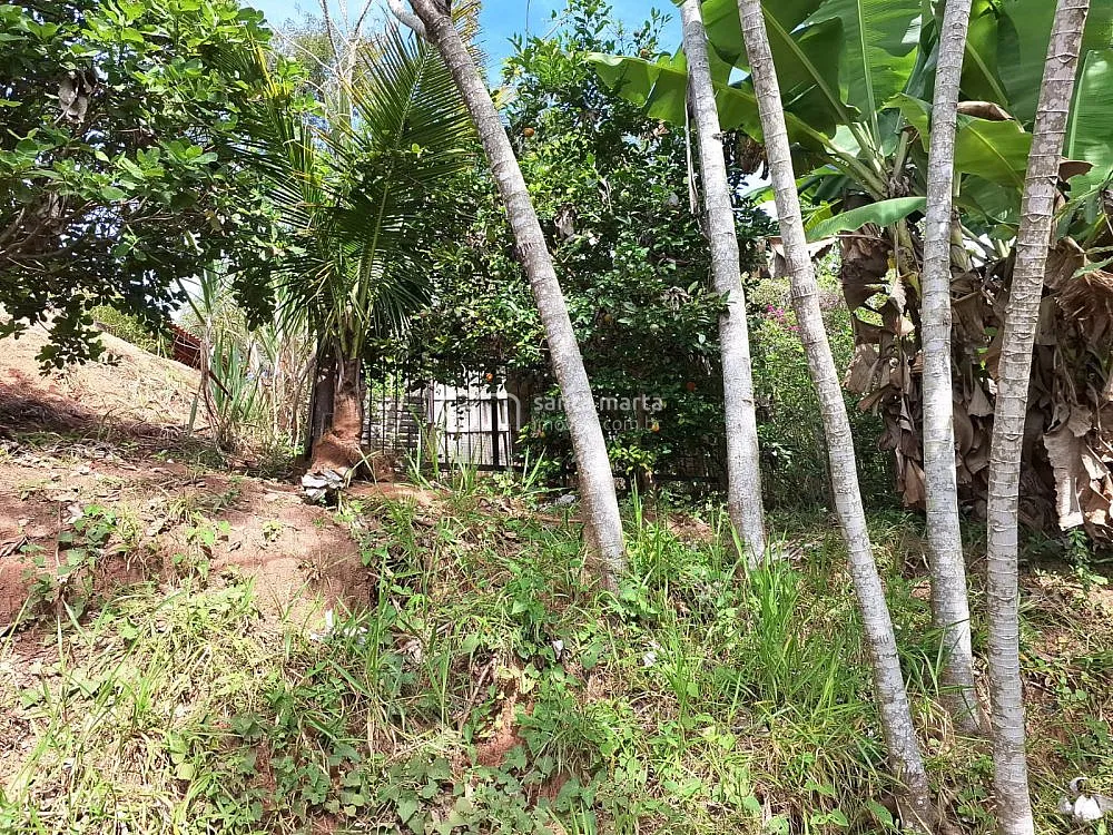 Sítio, 1 quarto, 2 hectares - Foto 4