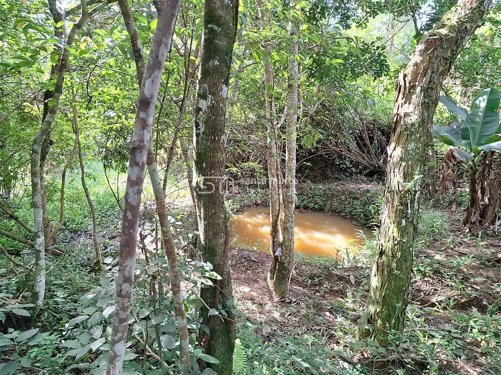 Sítio, 1 quarto, 2 hectares - Foto 10